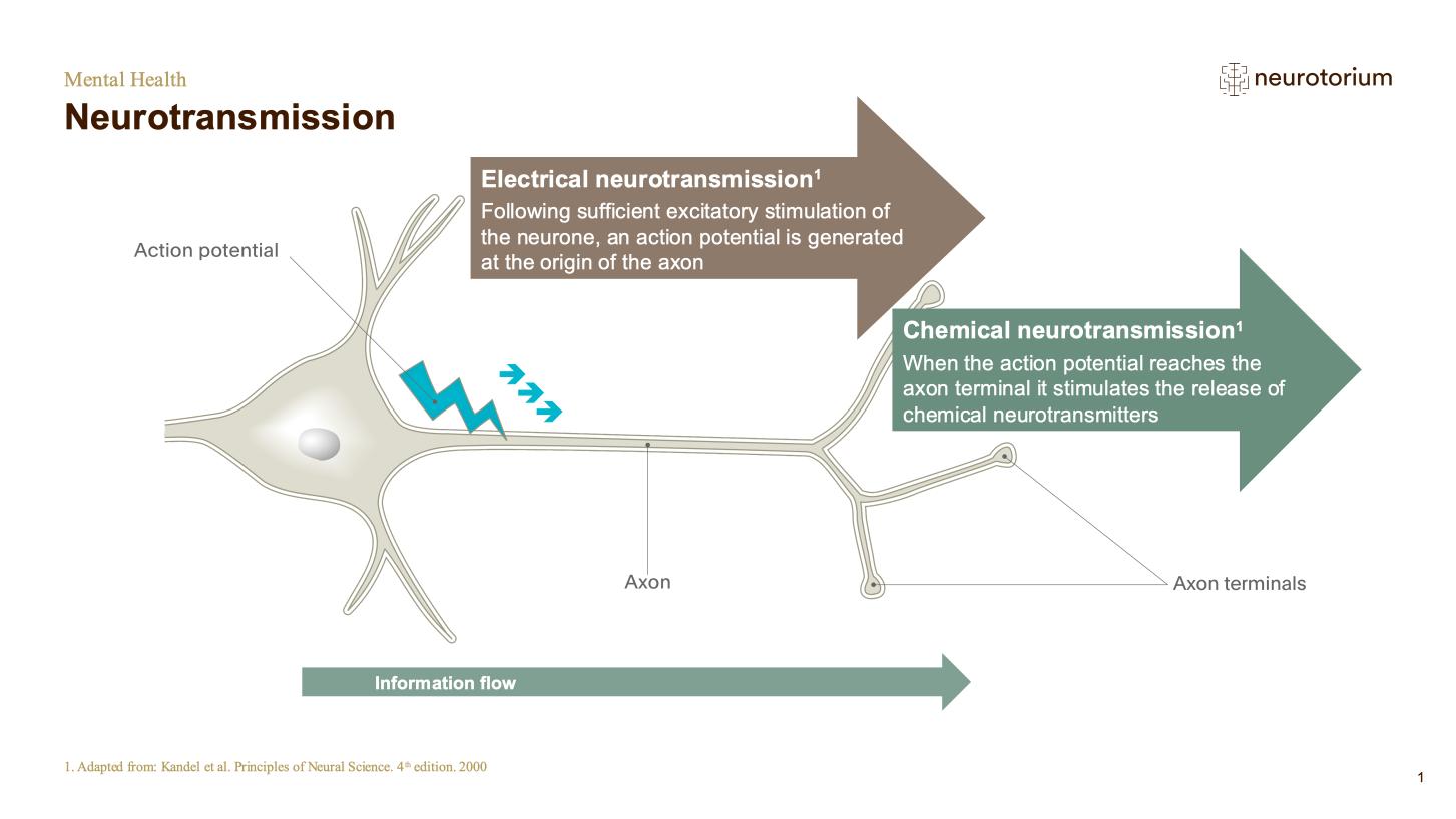 Mental Health – Fundamentals of Neurobiology – slide 9
